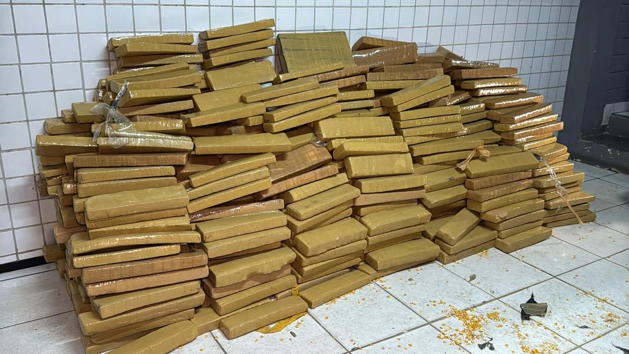 ÁUDIO: Forças de segurança apreendem 4 toneladas de drogas no MA