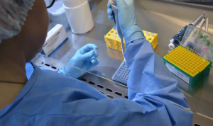 País tem 17 casos confirmados de intoxicação por metanol