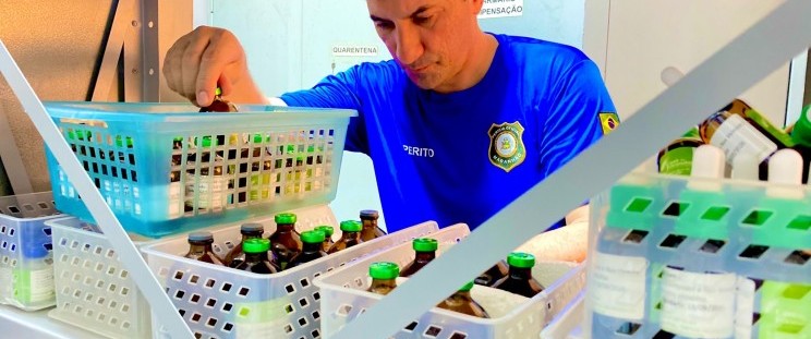 Perícia realiza exame de material encontrado em laboratório clandestino