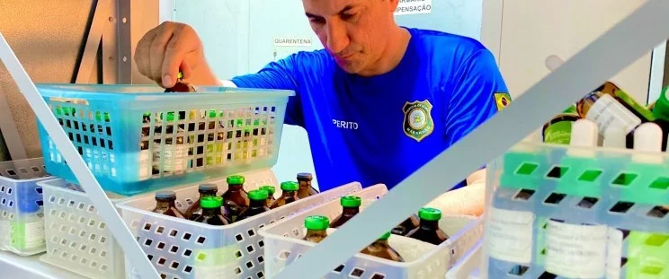 Perícia realiza exame de material encontrado em laboratório clandestino