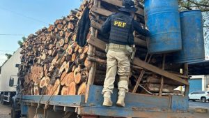 PRF apreende caminhão com madeira ilegal