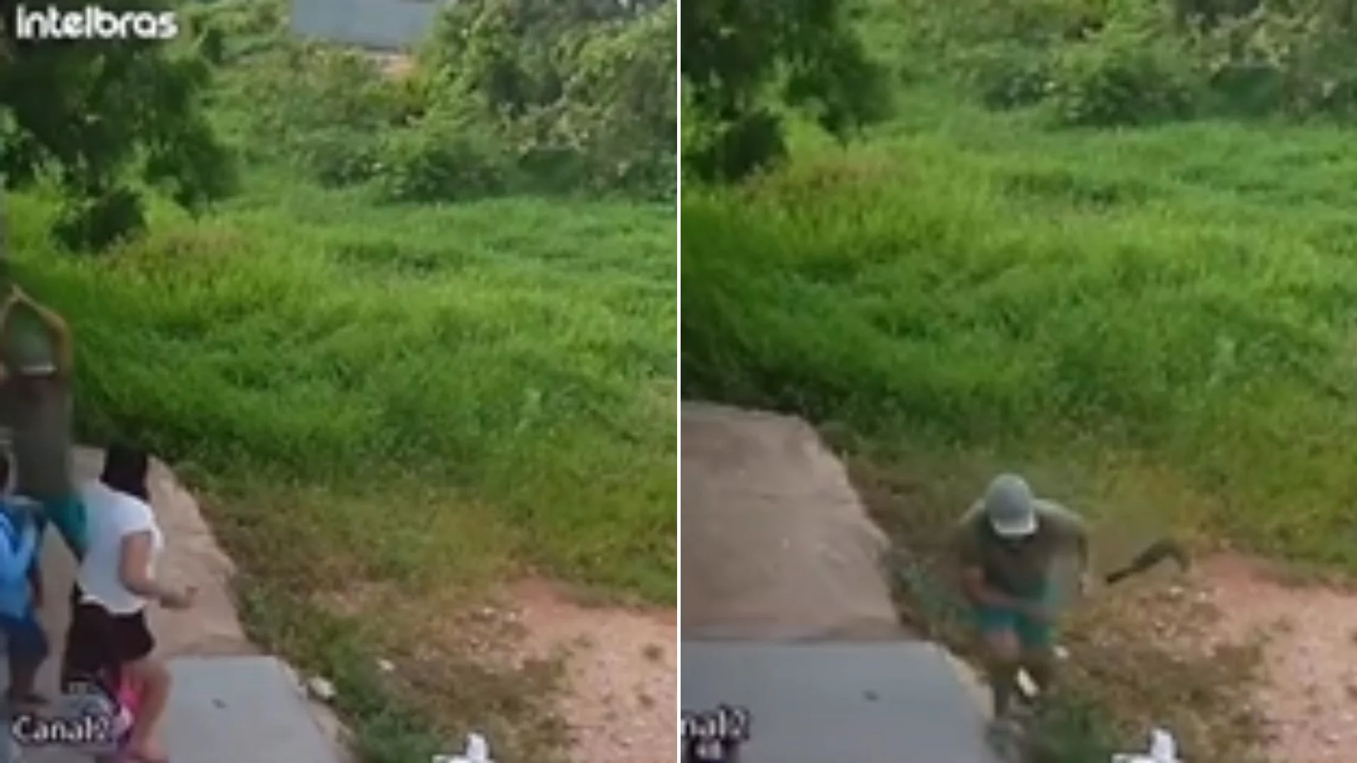 VÍDEO: Câmeras flagram mulher morta a golpes de foice na frente dos filhos