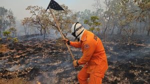 Maranhão reduz queimadas mesmo em período de estiagem