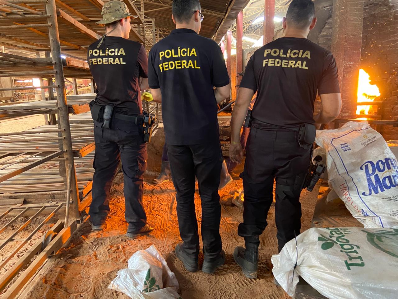 VÍDEO: Polícia Federal incinera 420kg de skunk