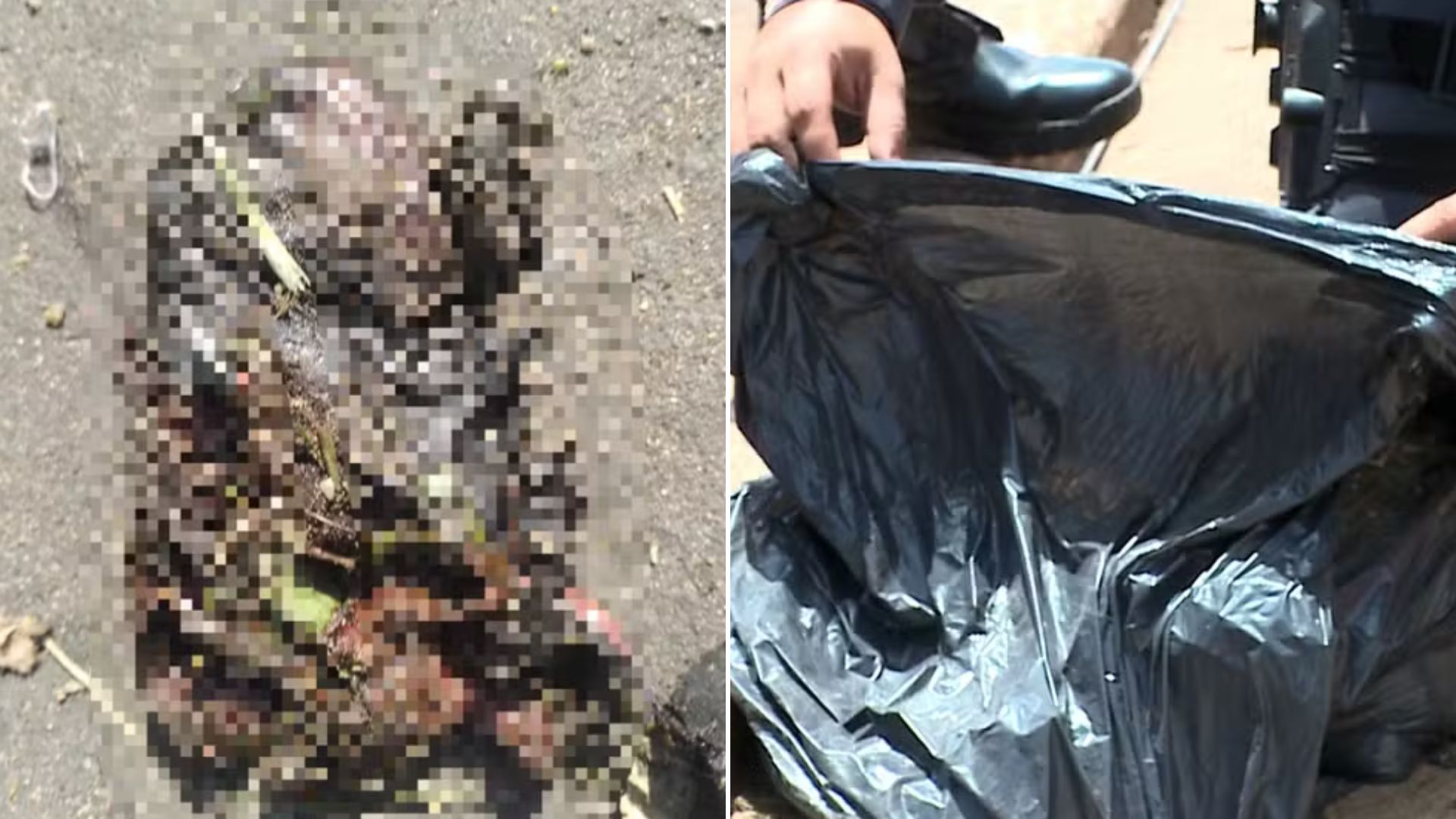 Suspeita de feto humano em saco de lixo mobiliza perícia no sul do MA