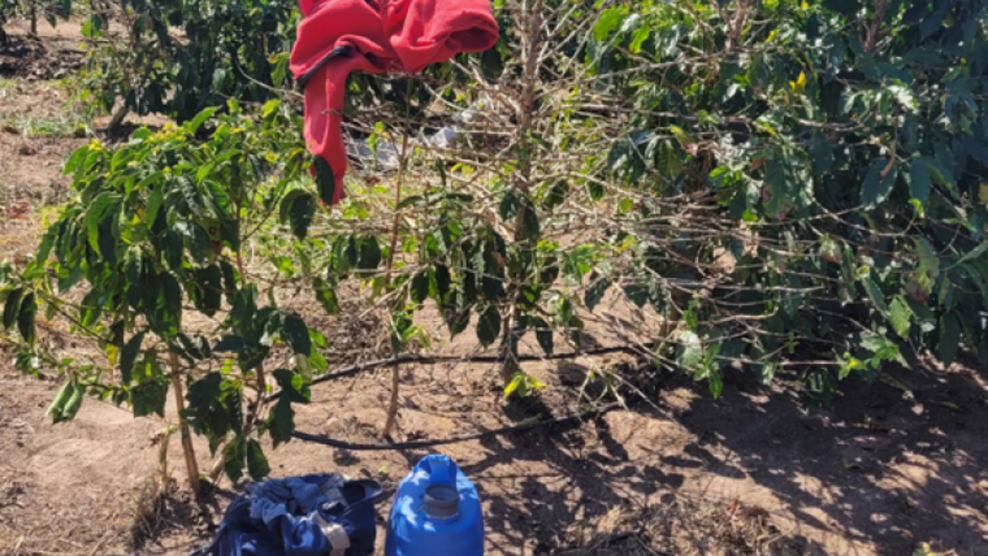 Maranhão tem oito novos nomes na “lista suja” do trabalho escravo