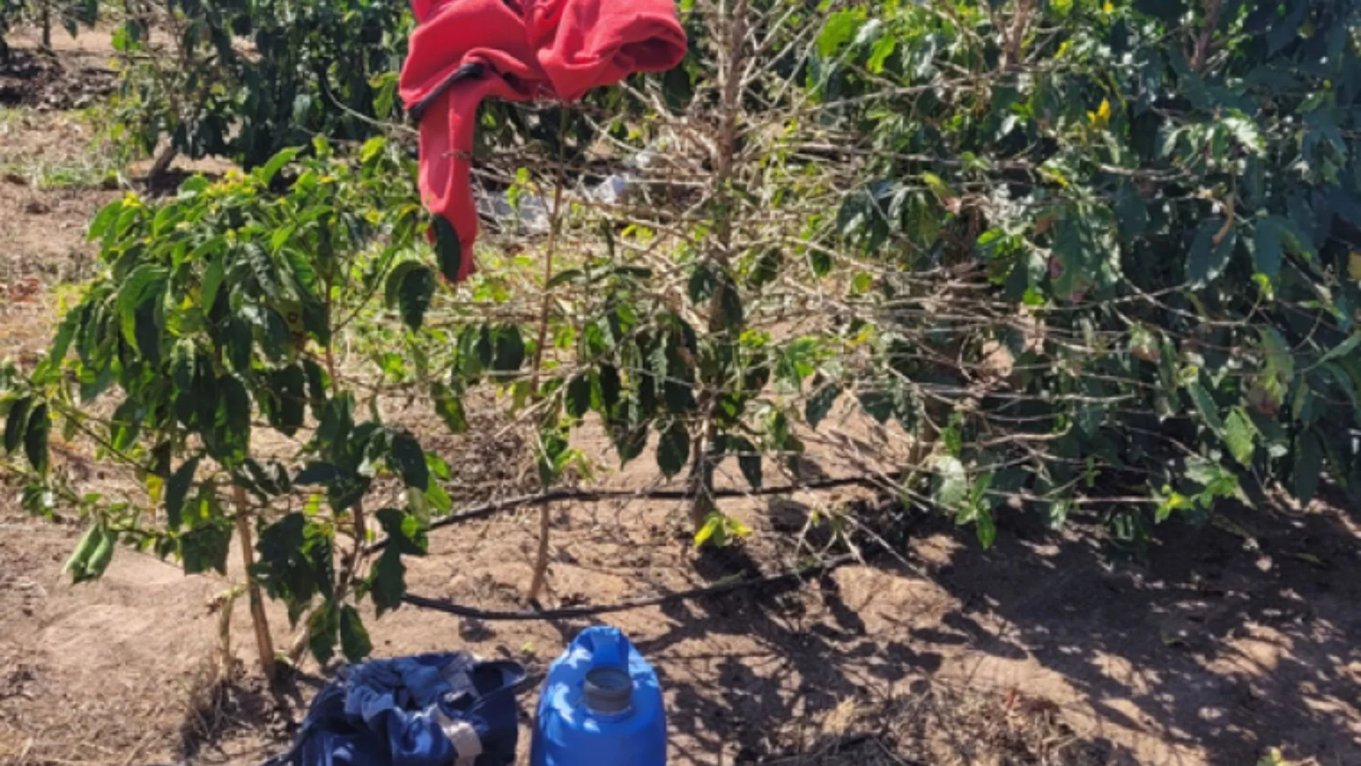 Maranhão tem oito novos nomes na “lista suja” do trabalho escravo