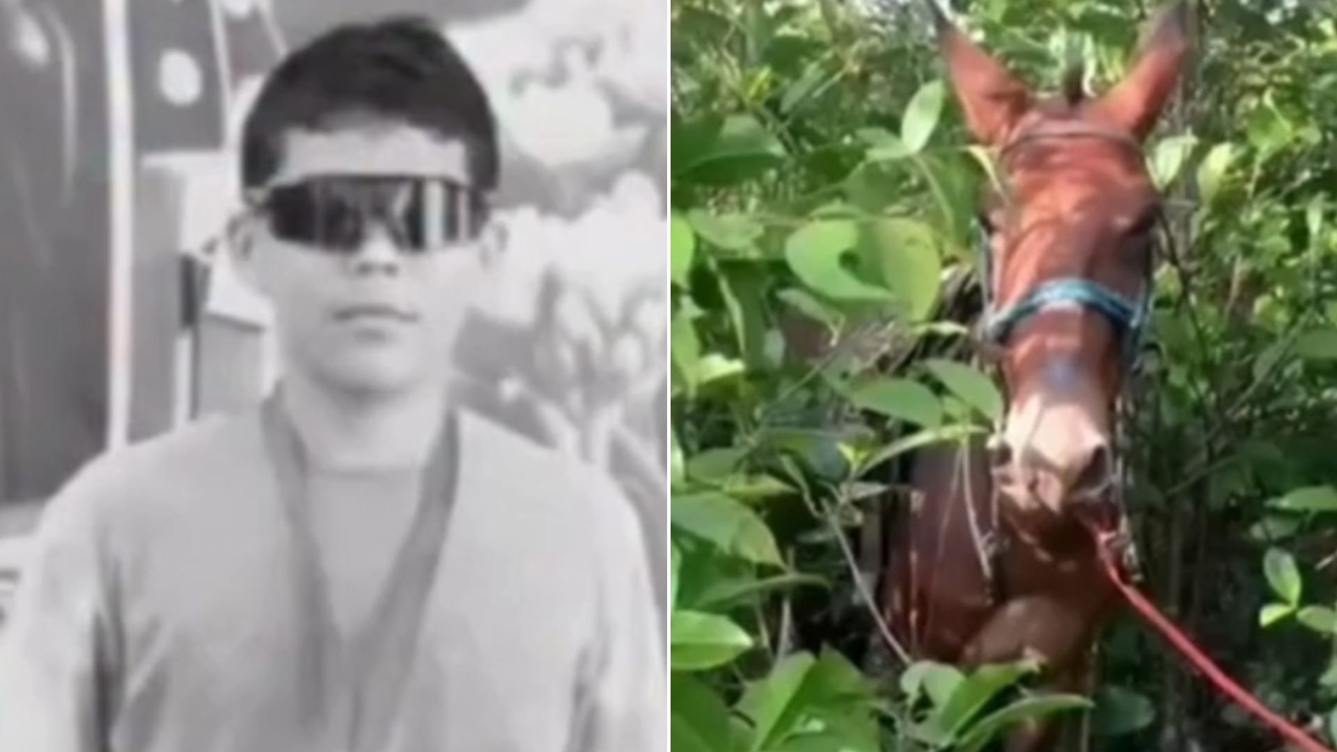 VÍDEO: Jovem morre após ser arrastado por burro no interior do MA
