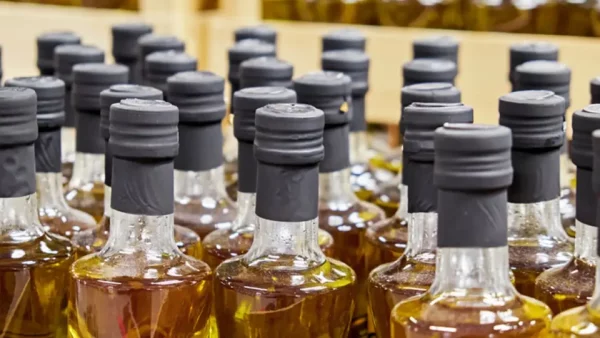 Azeites impróprios: consumidores devem suspender consumo