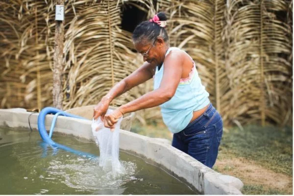 Iniciativa do Maranhão será destaque na COP30