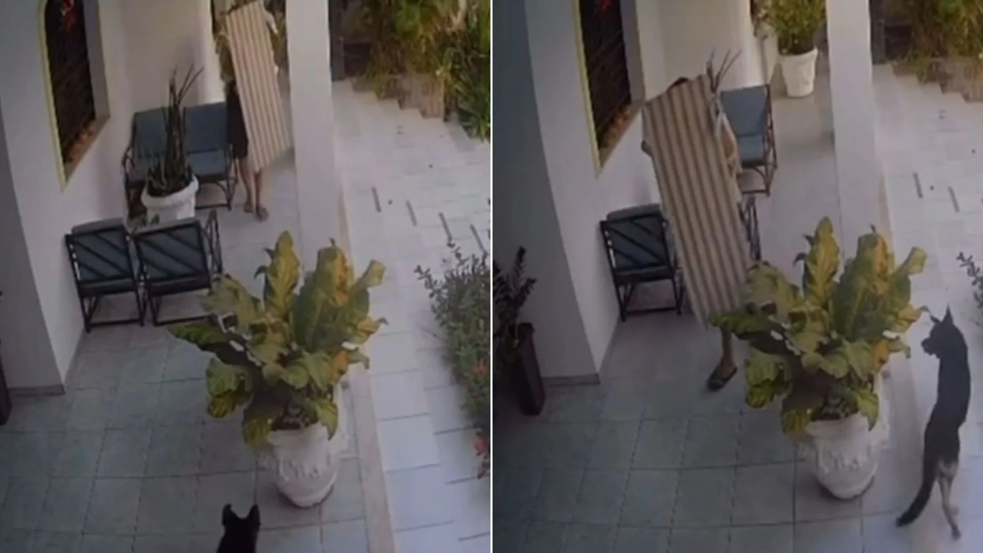VÍDEO: Criminosos invadem casa de policiais e roubam armas