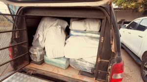 Polícia incinera 1 tonelada de skunk no Maranhão