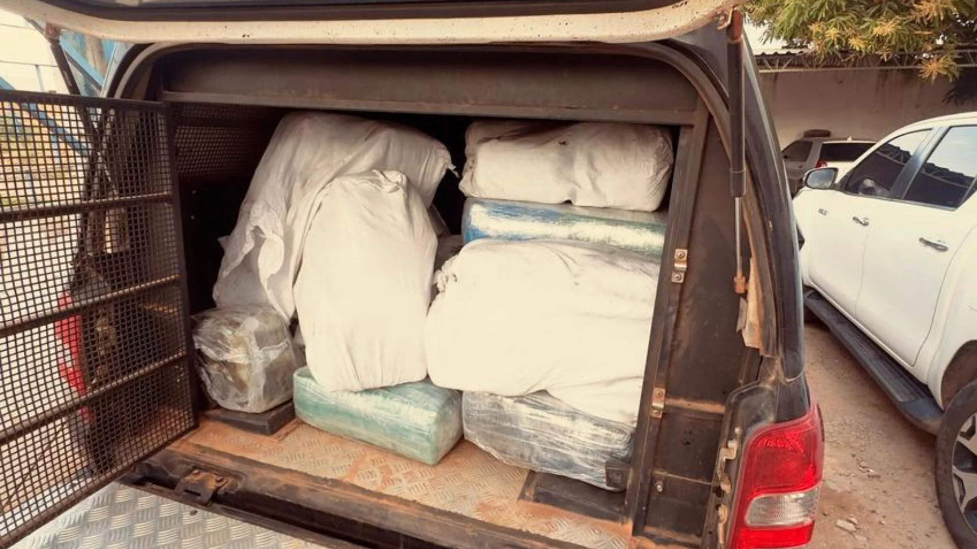 Polícia incinera 1 tonelada de skunk no Maranhão