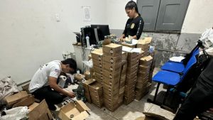 VÍDEO: Forças de segurança apreendem mais de 15 mil munições