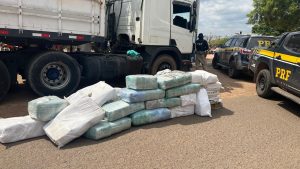 PRF realiza a maior apreensão da droga ‘skunk’ no Maranhão