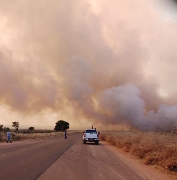 Fogo avança e Maranhão registra 20 mil focos