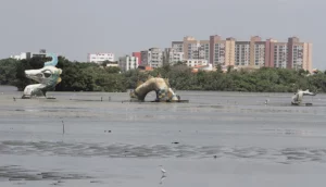 Símbolo da Lagoa da Jansen, Lulu será reinstalada