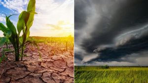 La Niña fraca pode mudar o clima nos próximos meses