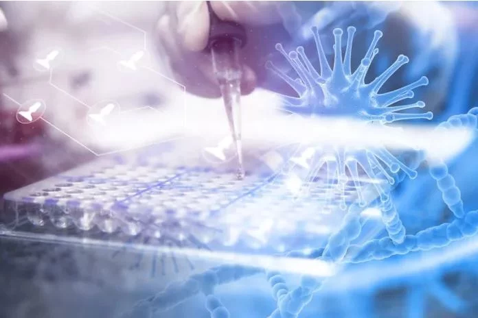 Saúde de Imperatriz é destaque