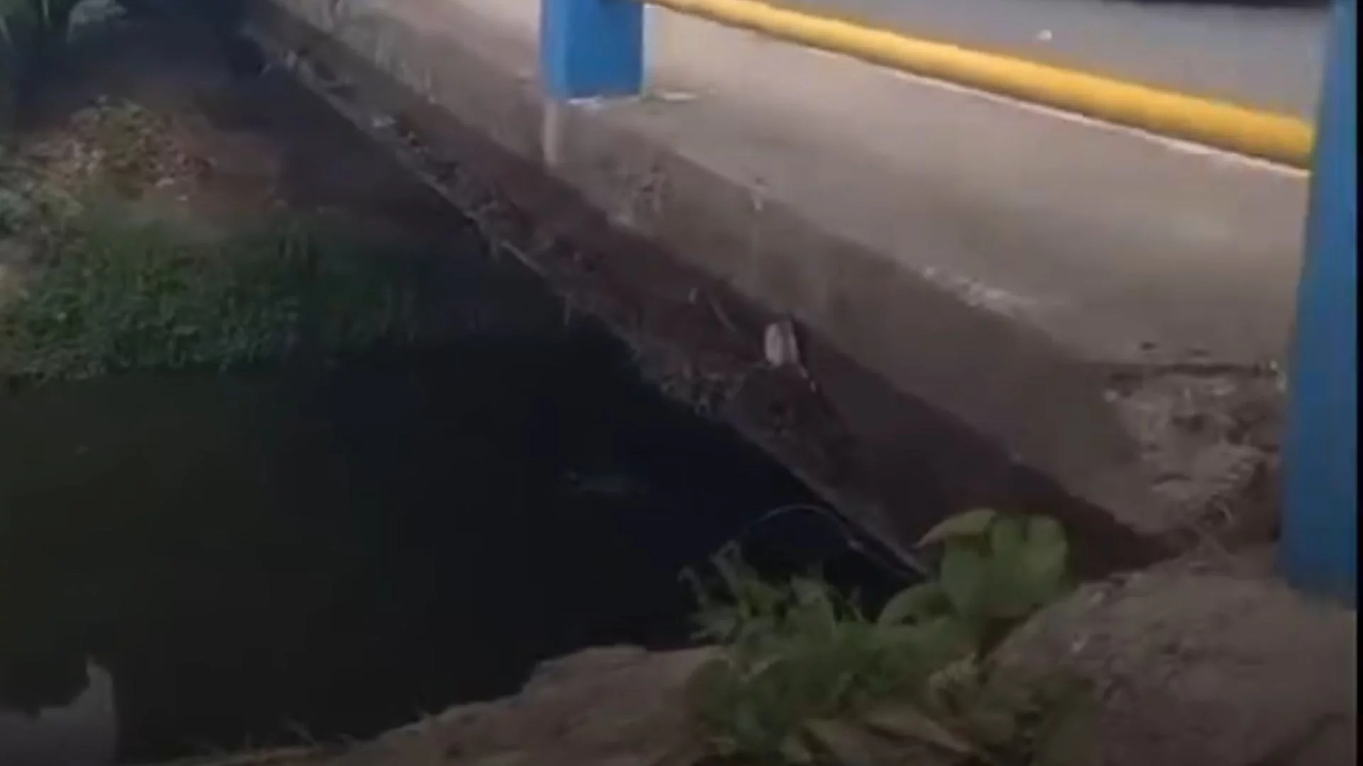 VÍDEO: Corpo sem cabeça é achado em São Luís