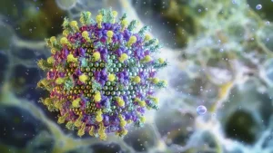 OMS monitora novos casos de vírus Nipah