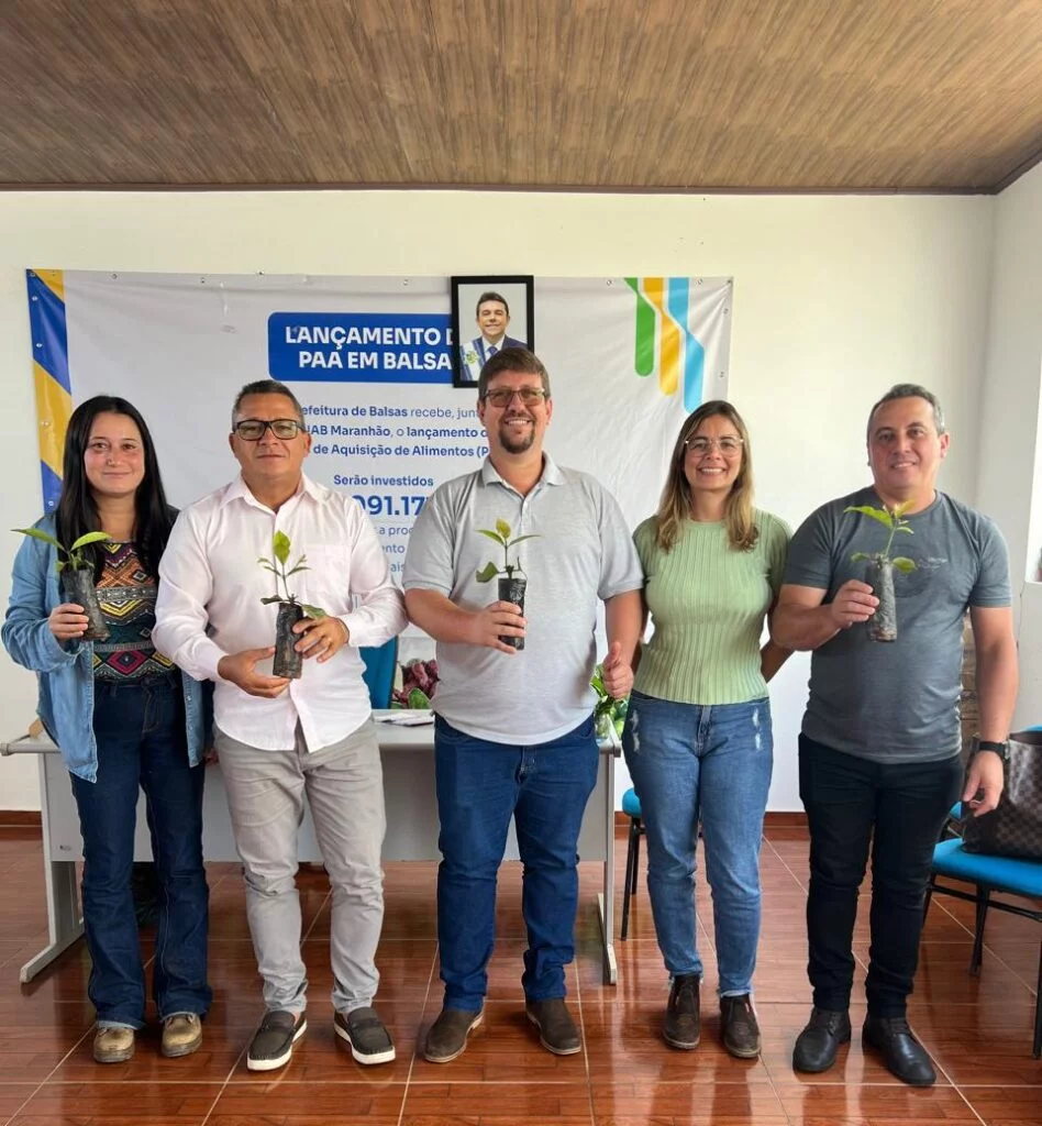 Café surge como alternativa no Cerrado maranhense