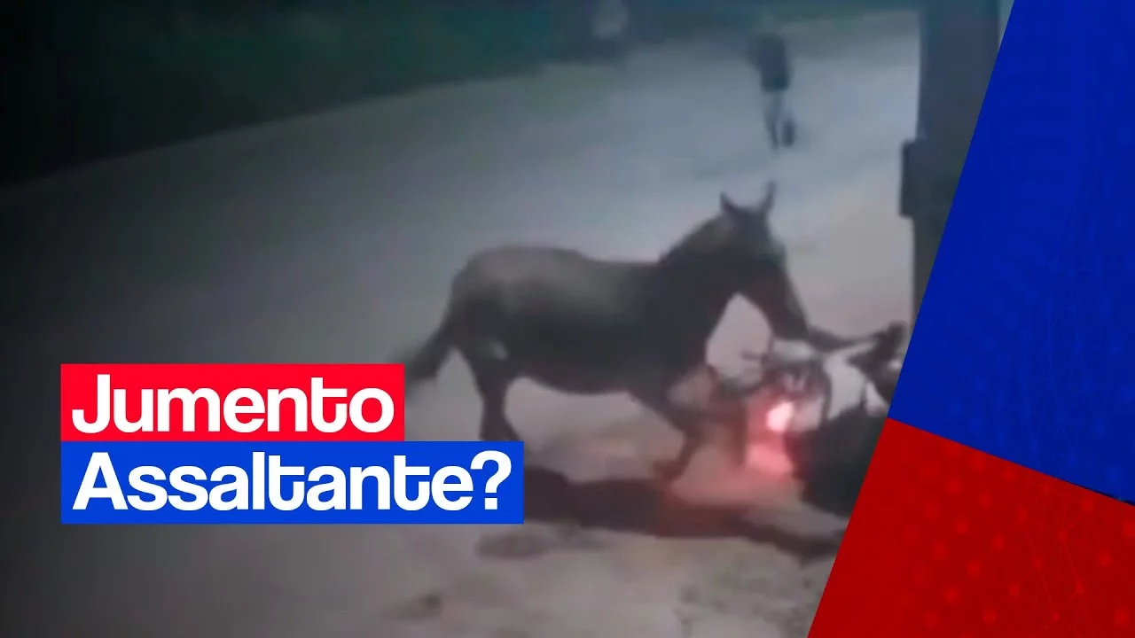 Jumento participa de assalto em rodovia do Maranhão