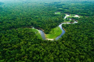 Amazônia registra menor índice de desmatamento