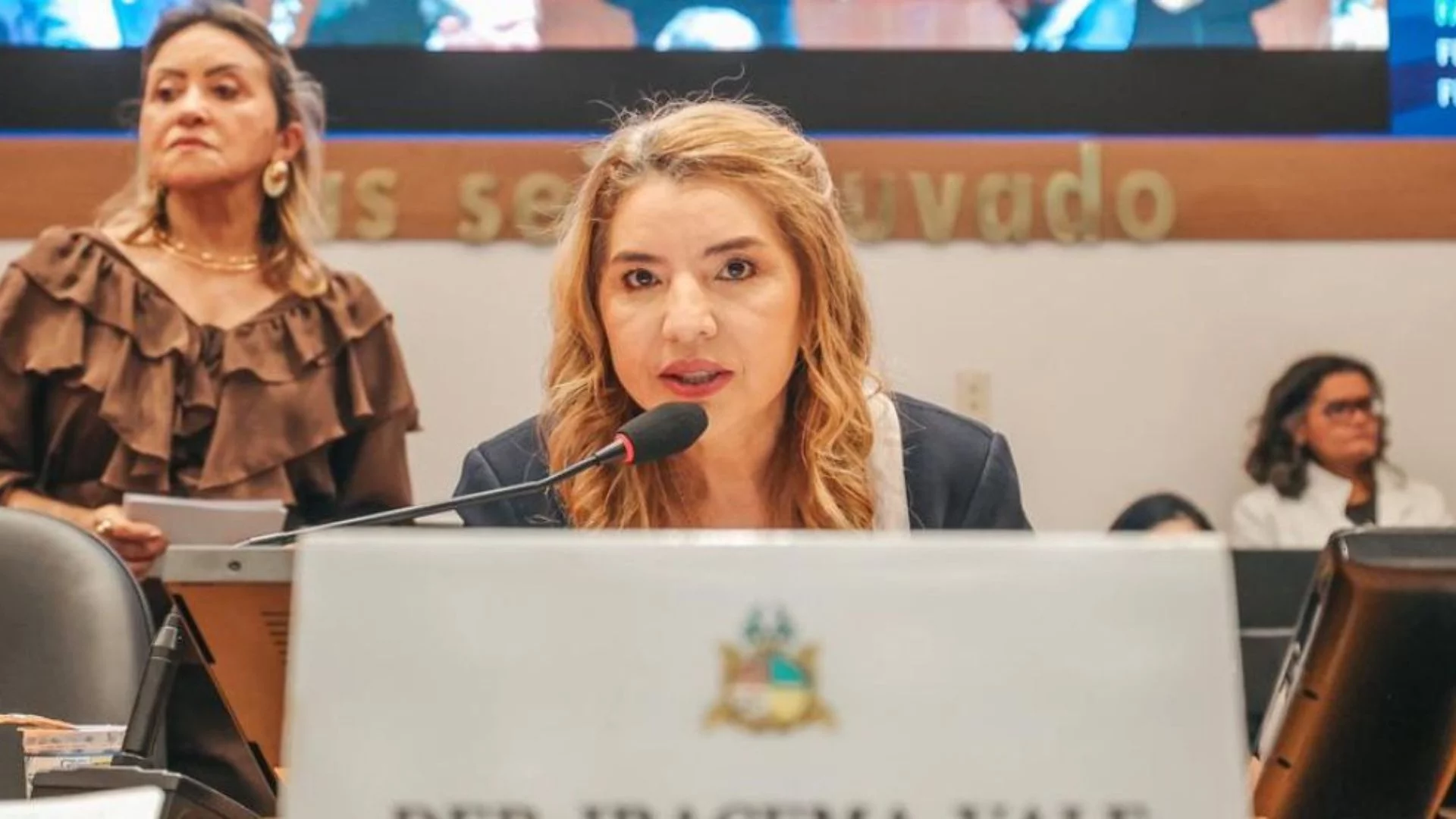 Assembleia do MA inicia trabalhos com discurso de Iracema Vale