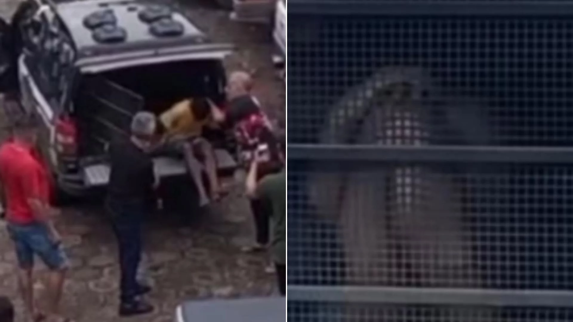 Mãe e padrasto são presos após morte de bebê em Grajaú