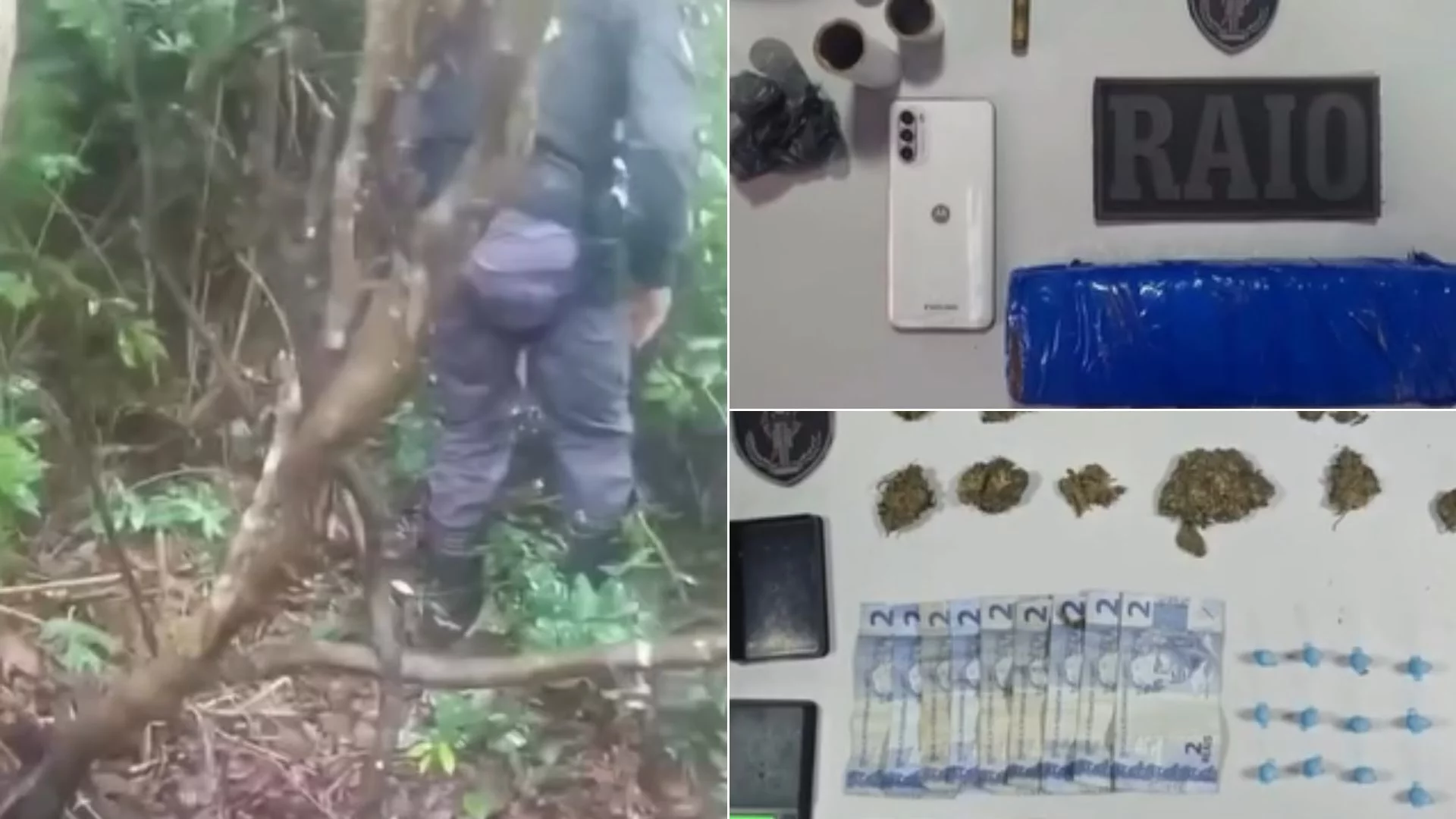 VÍDEO: Polícia apreende drogas e munições em área de mata na Grande Ilha
