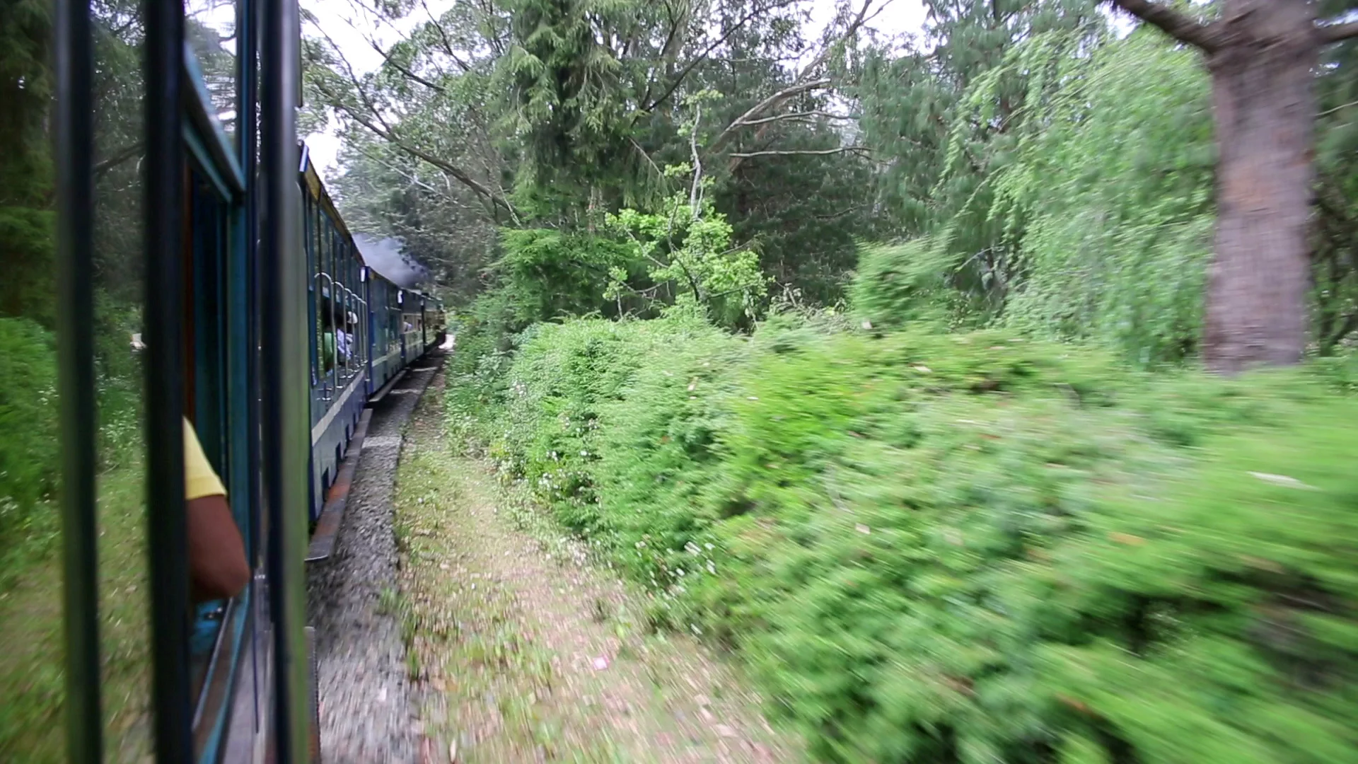 Amazônia sobre Trilhos