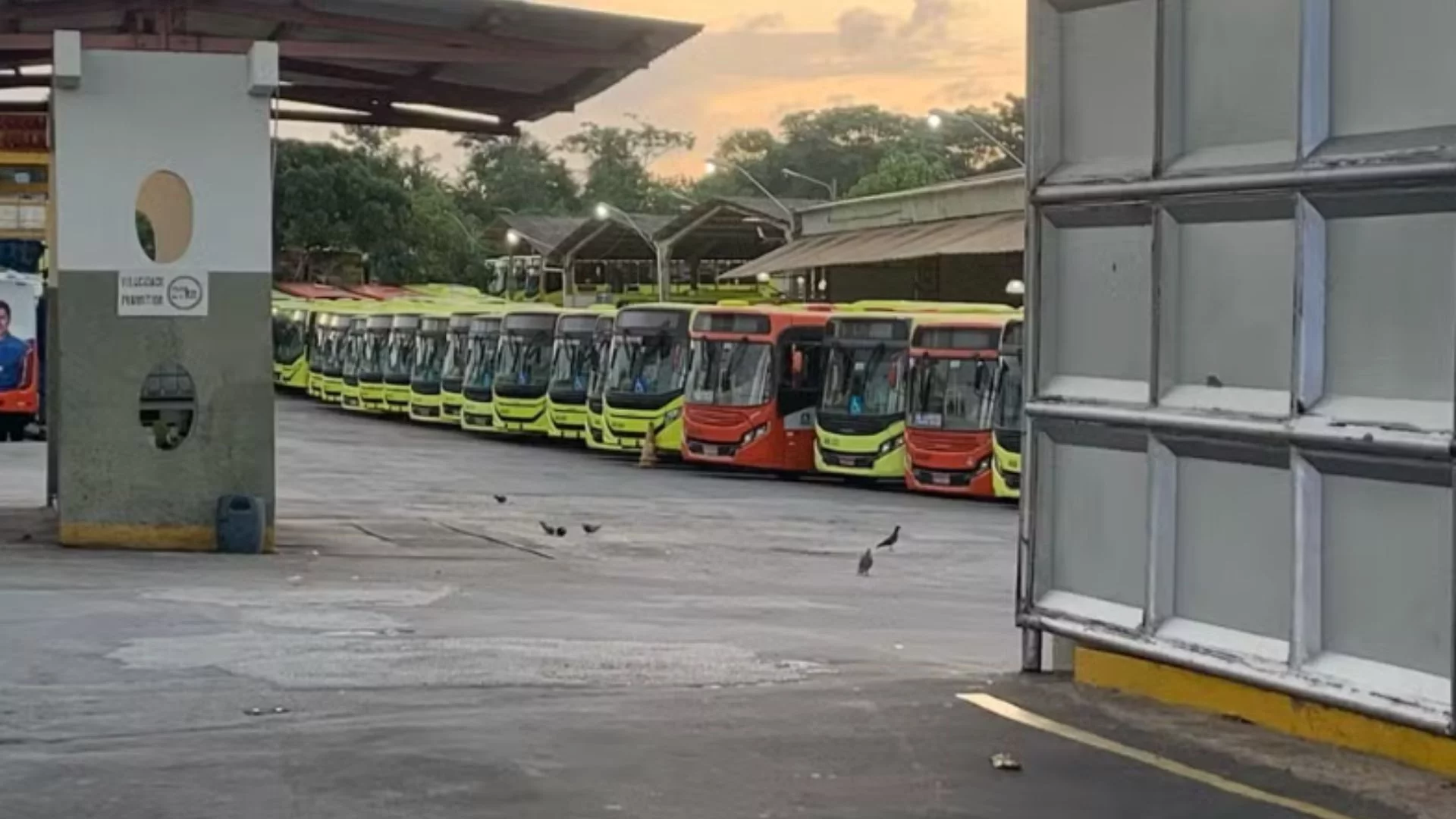 VÍDEO: São Luís amanhece sem ônibus urbano nesta sexta-feira (13)