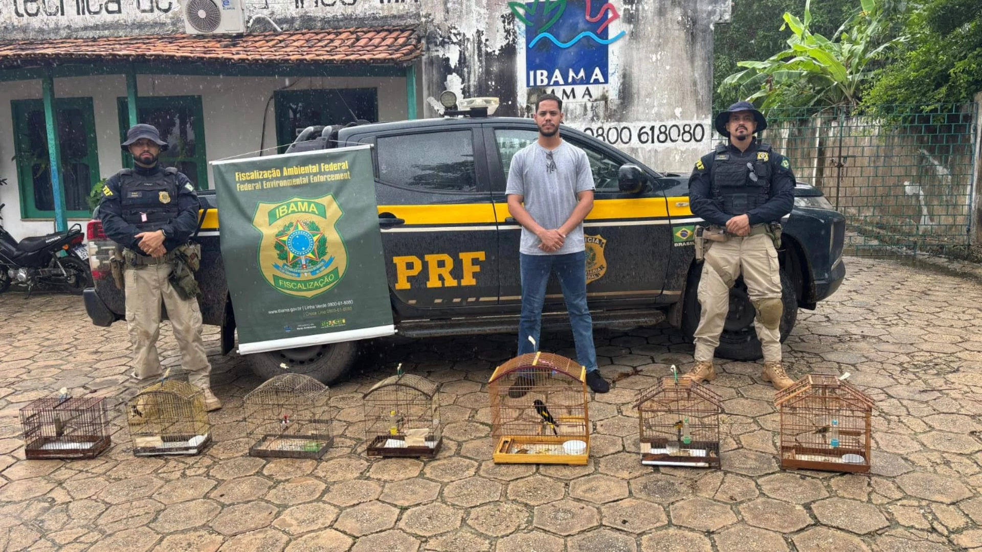 VÍDEO: PRF apreende madeira ilegal e resgata 27 animais silvestres no Maranhão