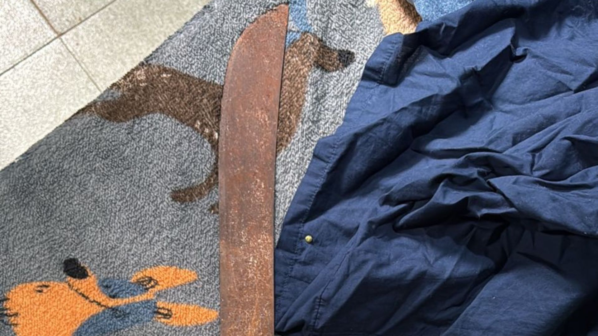 VÍDEO: PF faz operação contra suspeita de conteúdo extremista