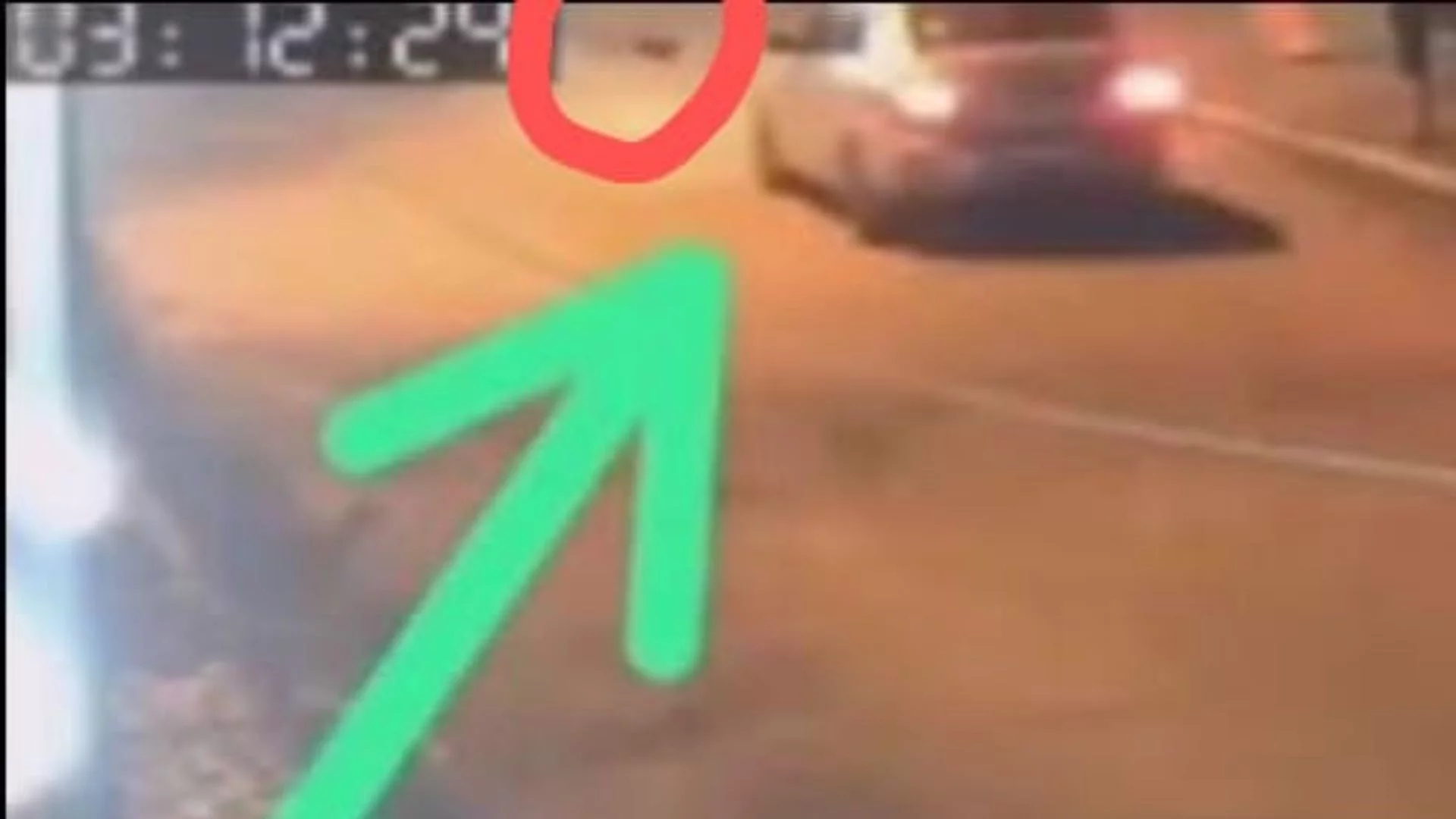 Homem é preso após matar cadela da ex em Imperatriz