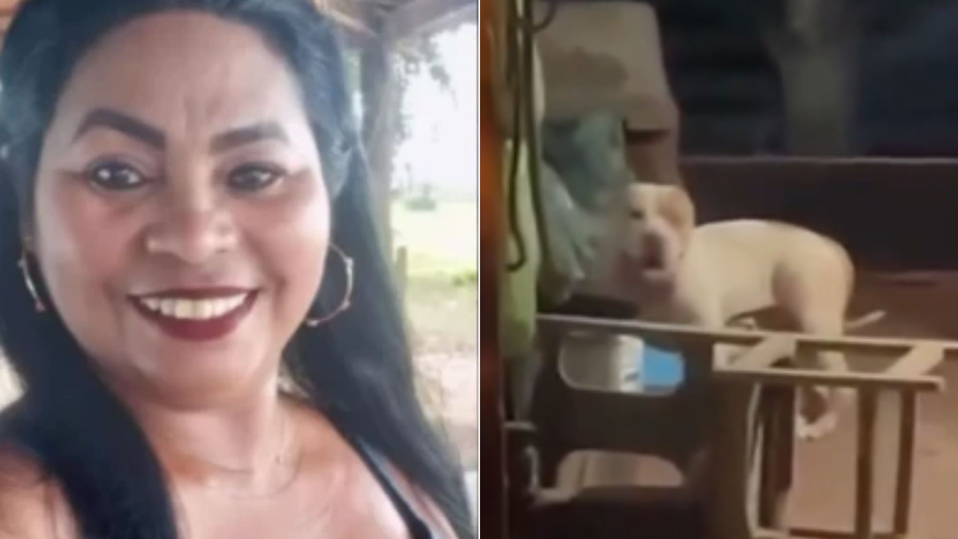 VÍDEO: Mulher morre após ataque de pitbull na zona rural de Bacabal