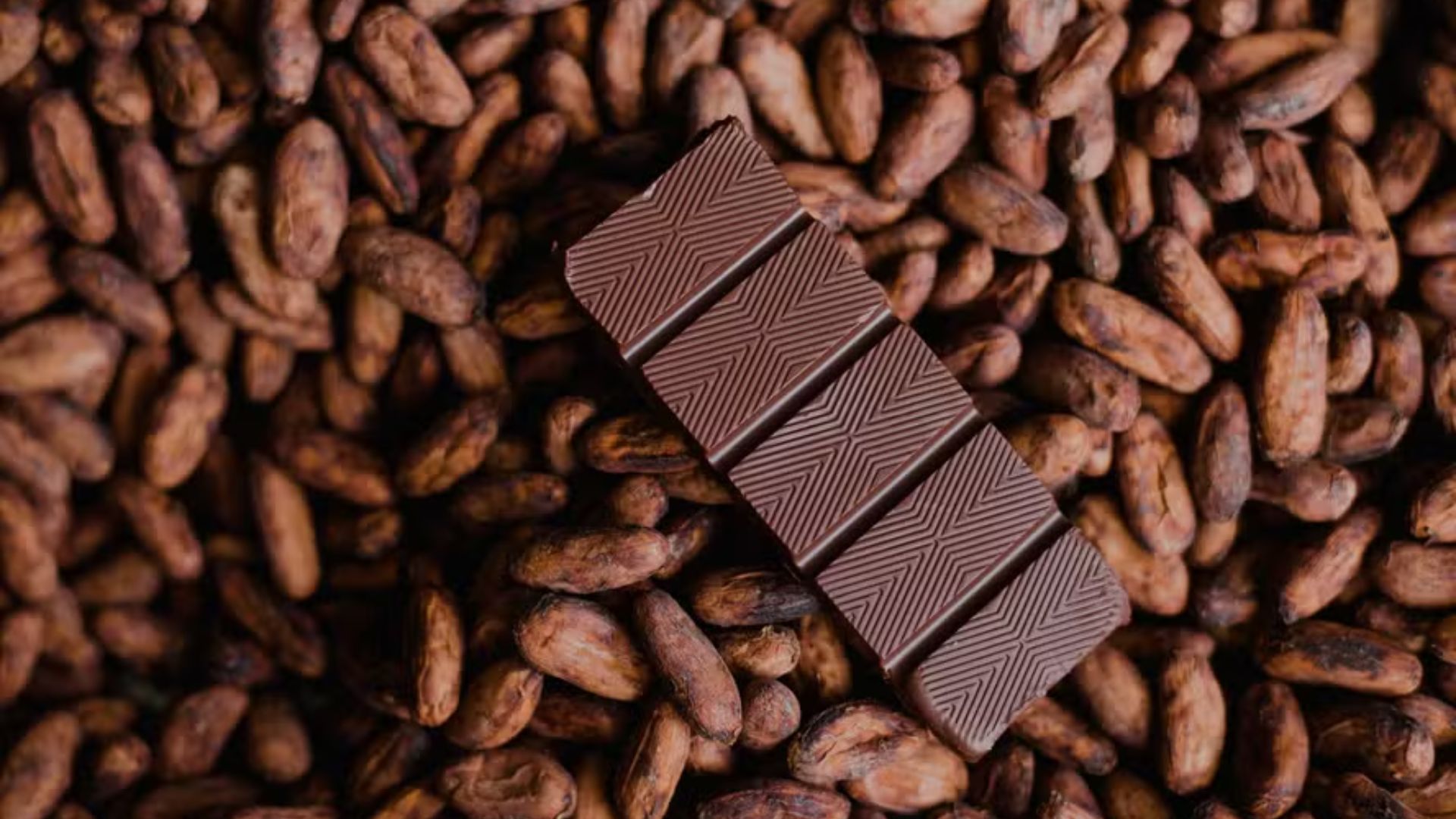 Nova lei define percentual mínimo de cacau nos chocolates