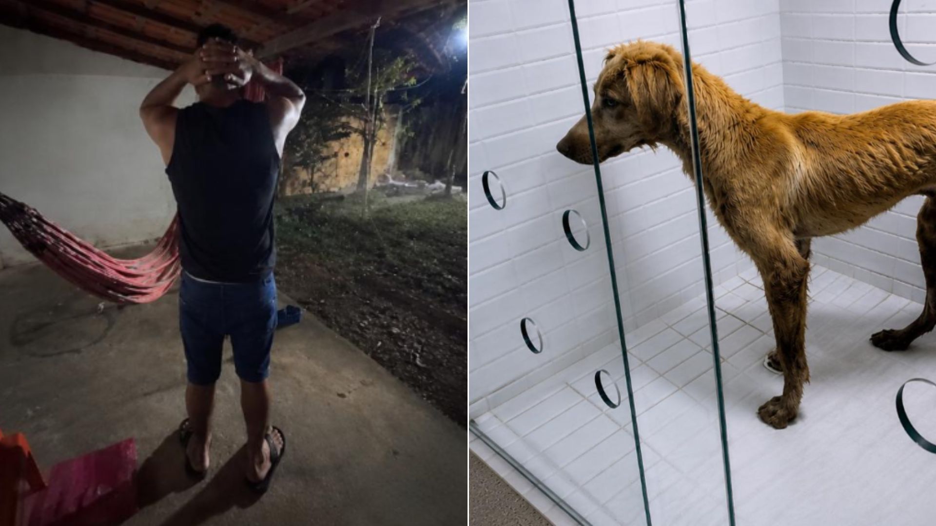 Suspeito de agredir cachorro é preso em Imperatriz