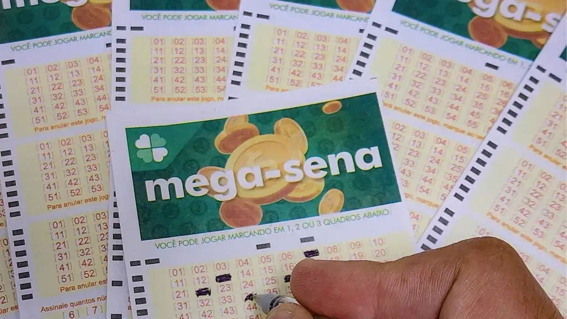 Bolão de São Luís fatura quase R$ 120 mil na Mega-Sena