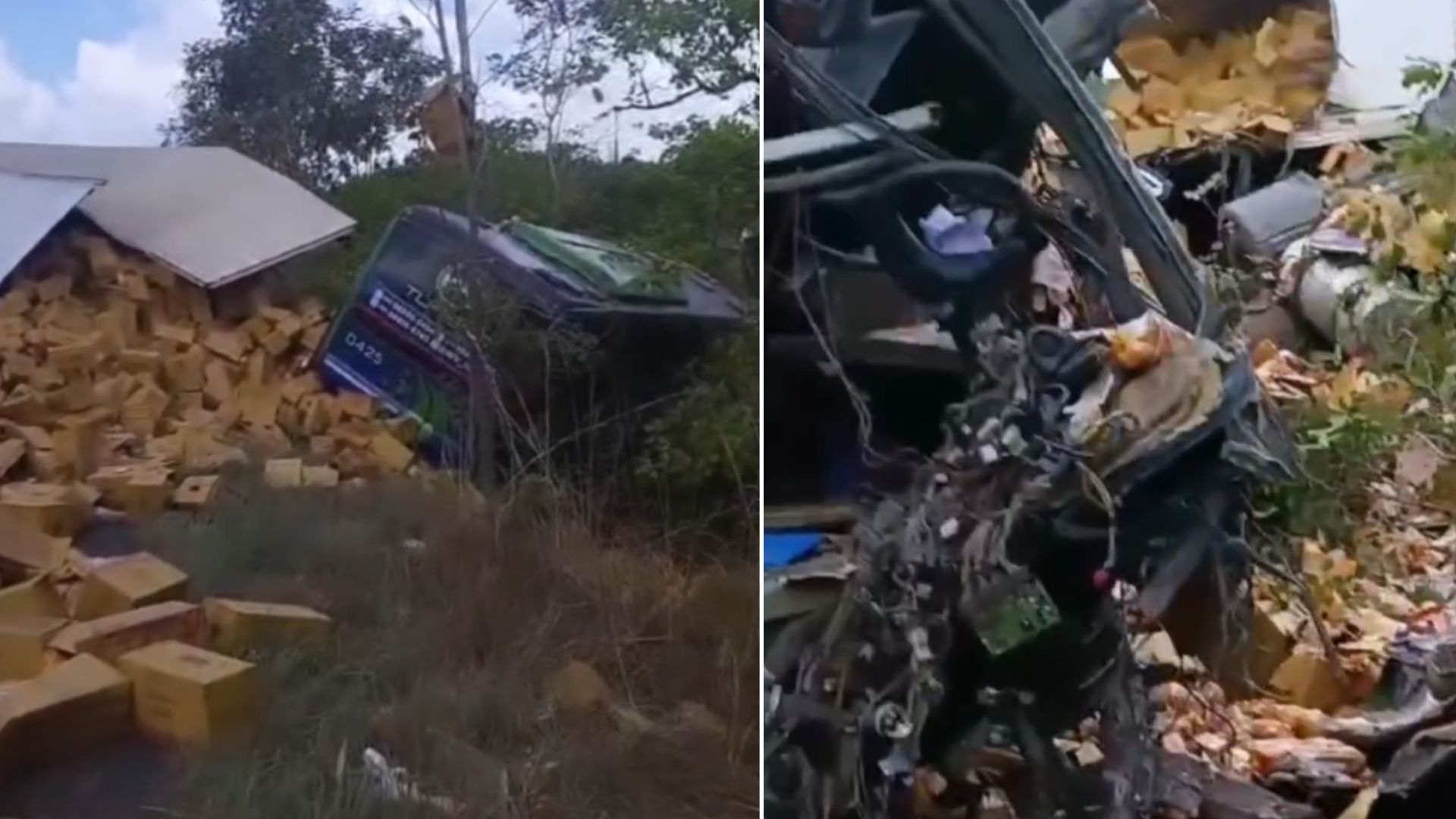 VÍDEO: Acidente entre ônibus e caminhão deixa mortos e feridos na BR-316