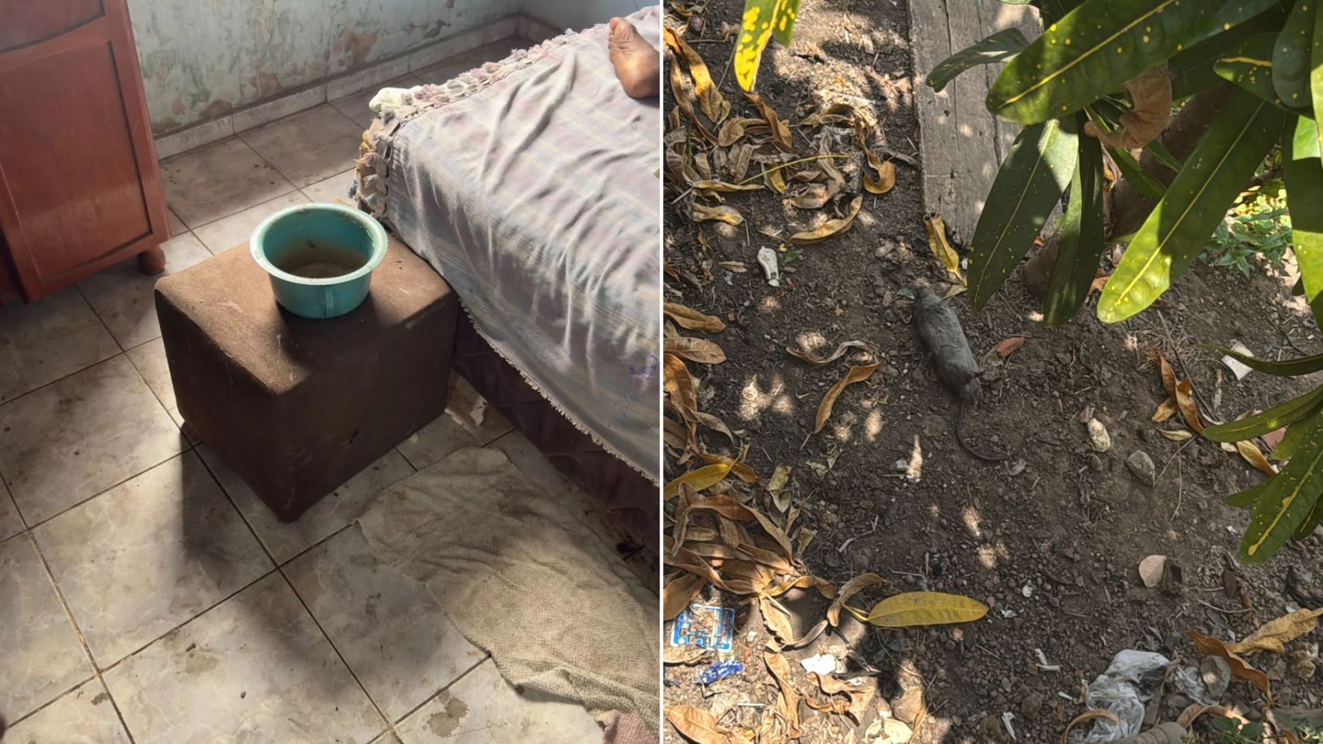 Homem é preso suspeito de maus-tratos contra a própria mãe de 96 anos