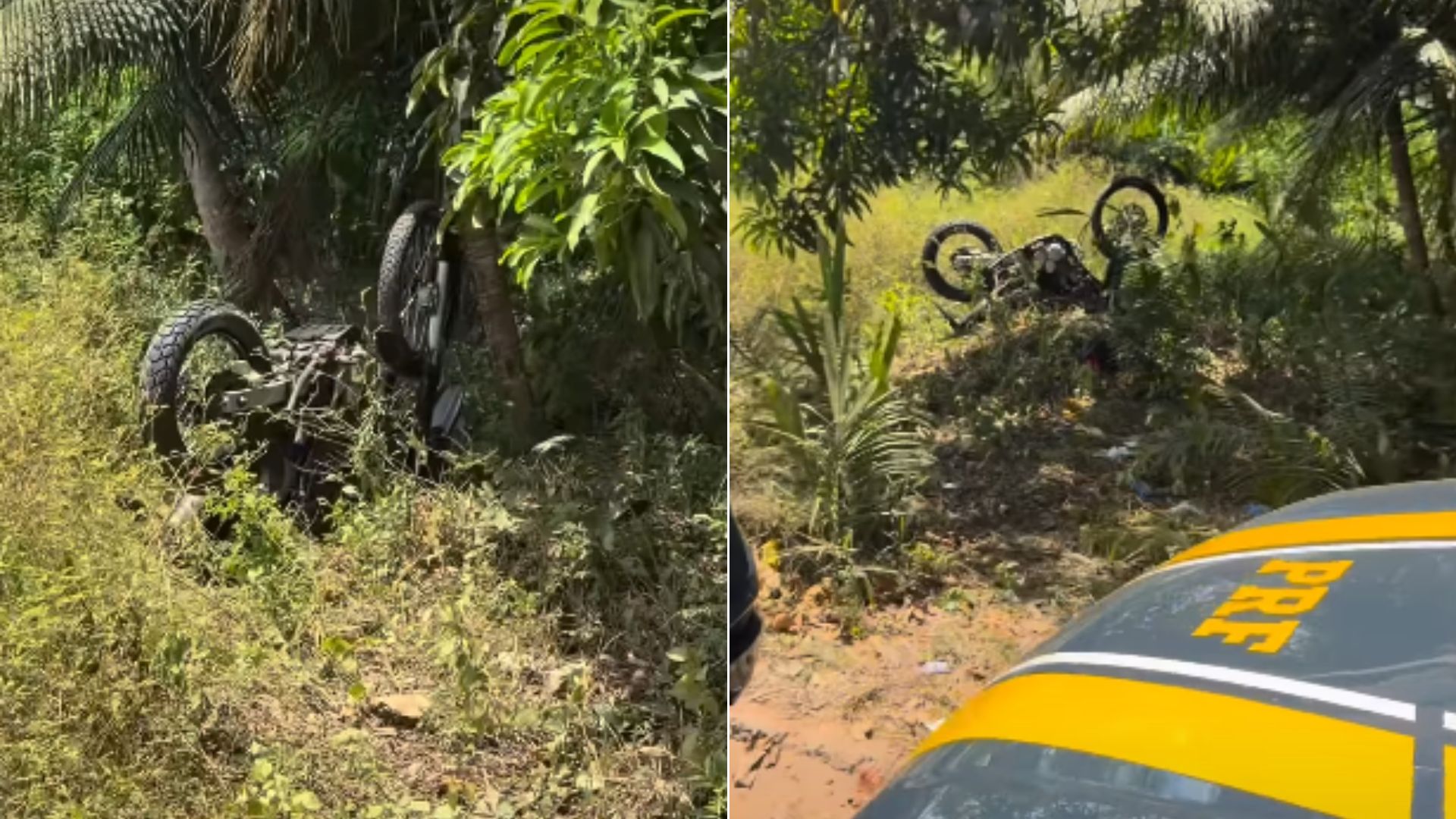 Motociclista morre após fugir de abordagem e bater em árvore