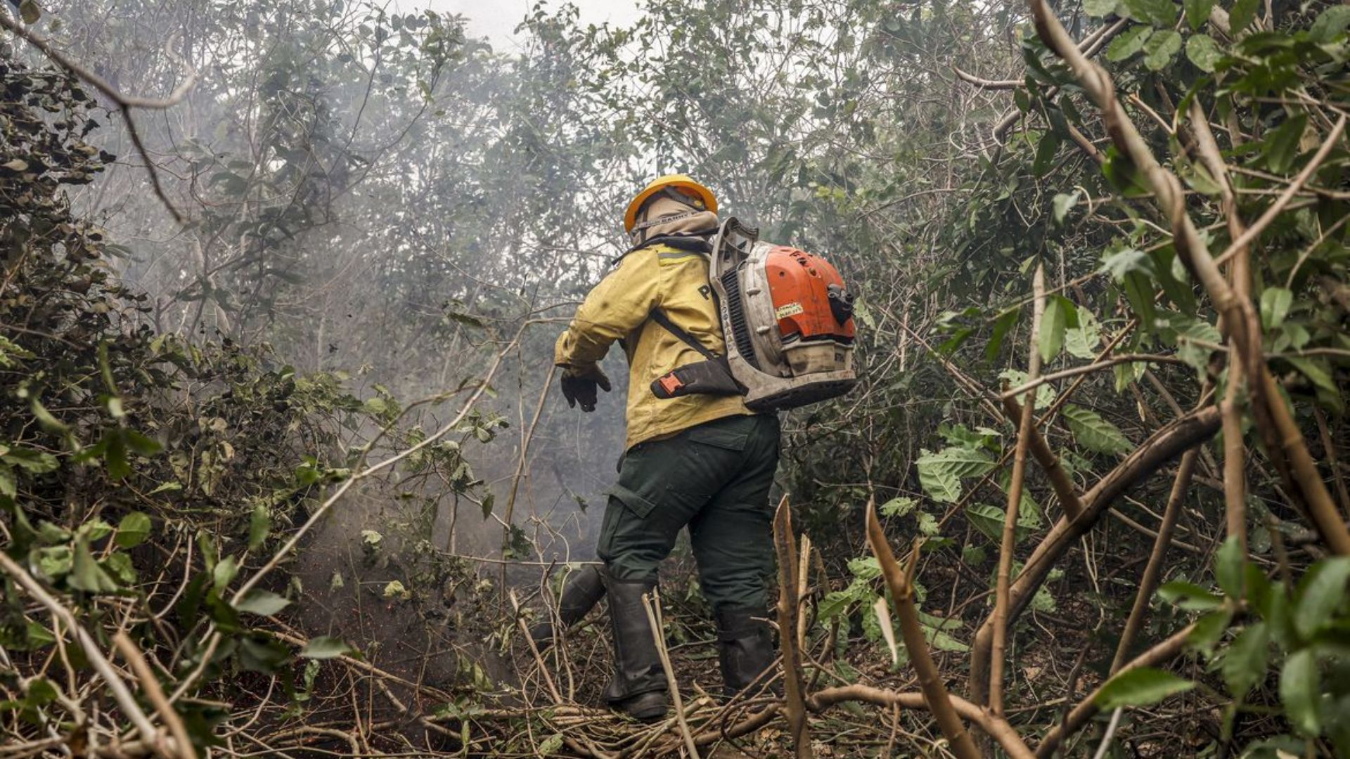 Incêndios no Amazonas resultam de ação humana, diz ministro